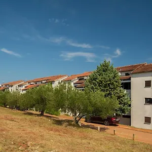 Hostin Garoful Duga Uvala Appartamento